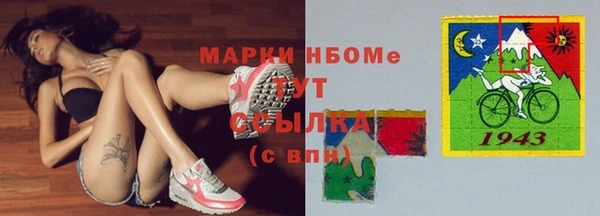 гашик Аркадак