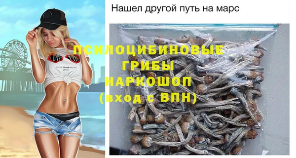 spice Армянск
