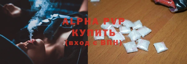 гашик Аркадак