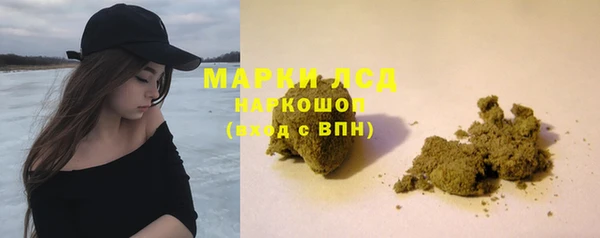 гашик Аркадак