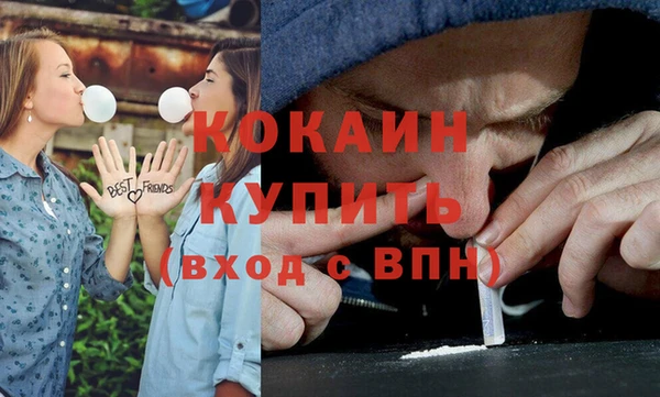 гашик Аркадак