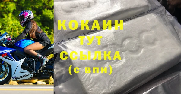 гашик Аркадак
