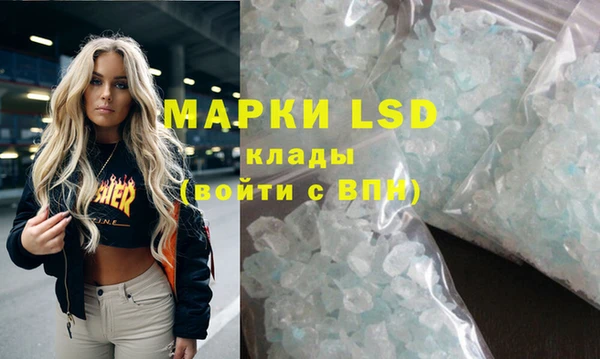 гашик Аркадак
