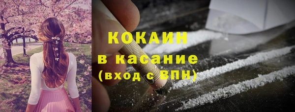 гашик Аркадак